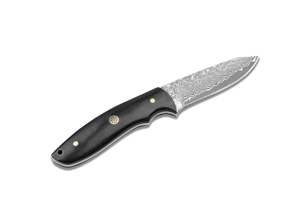 02SC018DAM Bild 2